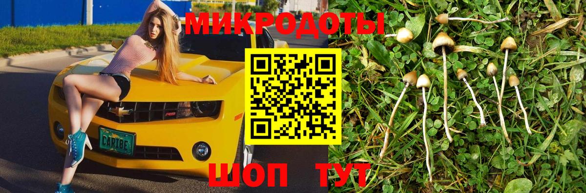 Россошь  Псилоцибиновые грибы MAGIC MUSHROOMS  Вход с VPN 